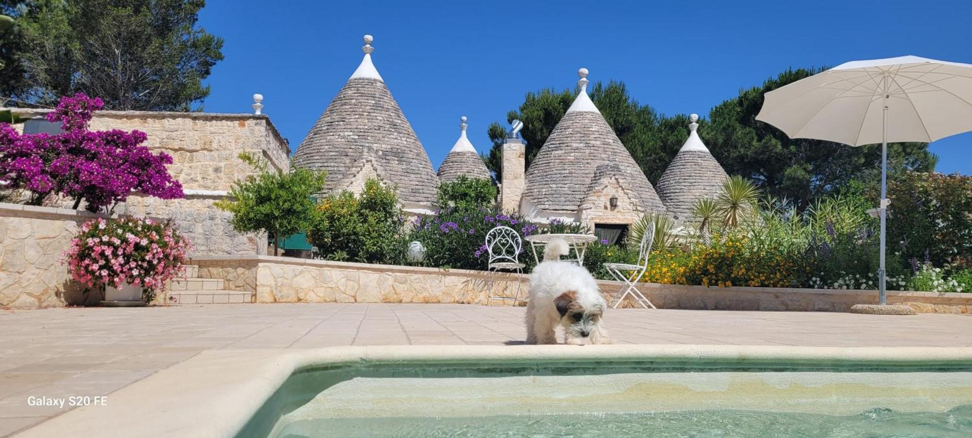 Trullo Bosco Libero Ostuni 빌라 외부 사진