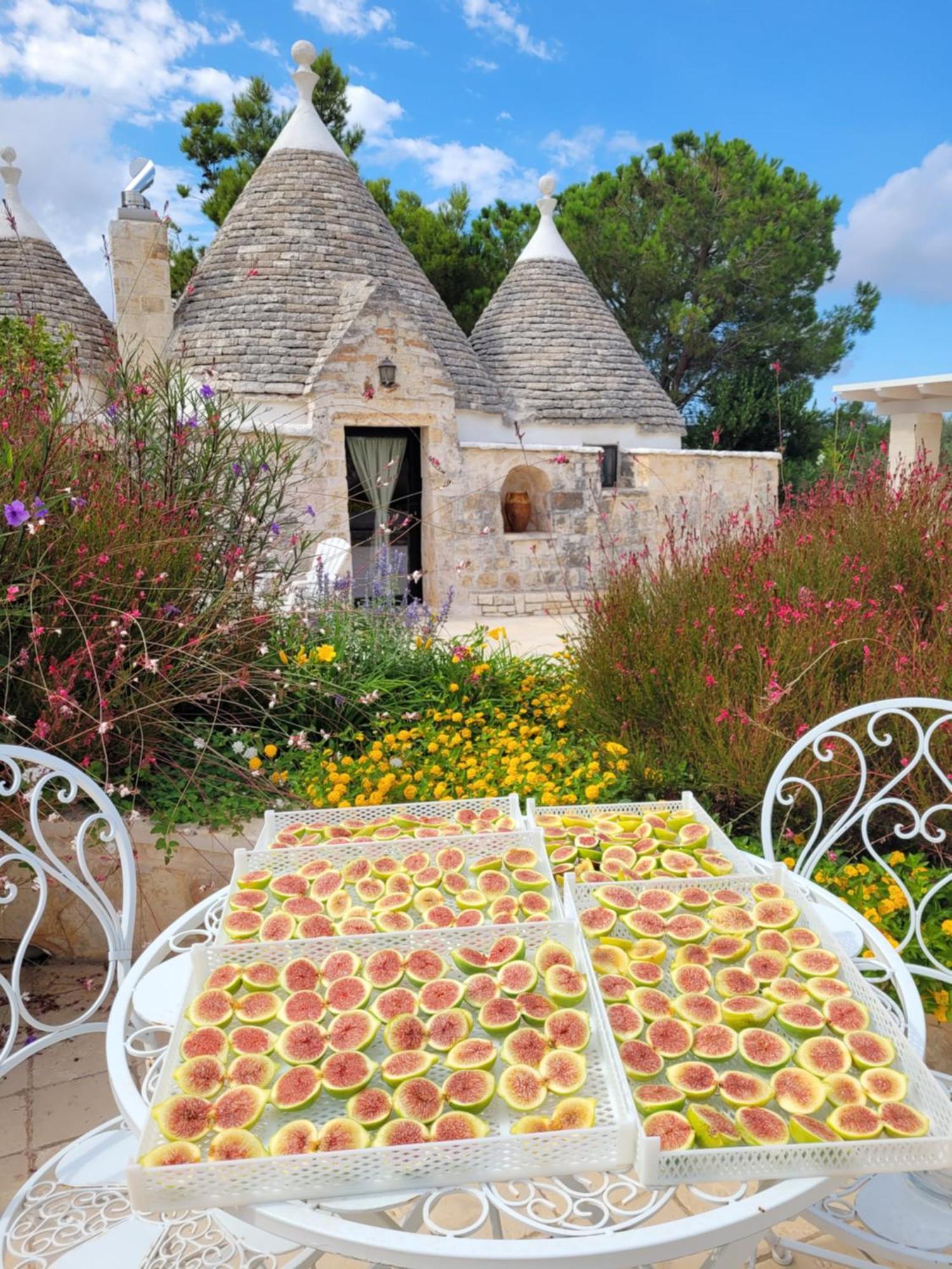 Trullo Bosco Libero Ostuni 빌라 외부 사진