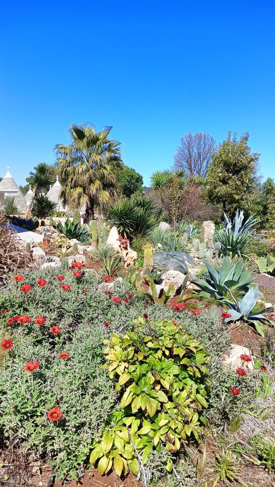 Trullo Bosco Libero Ostuni 빌라 외부 사진