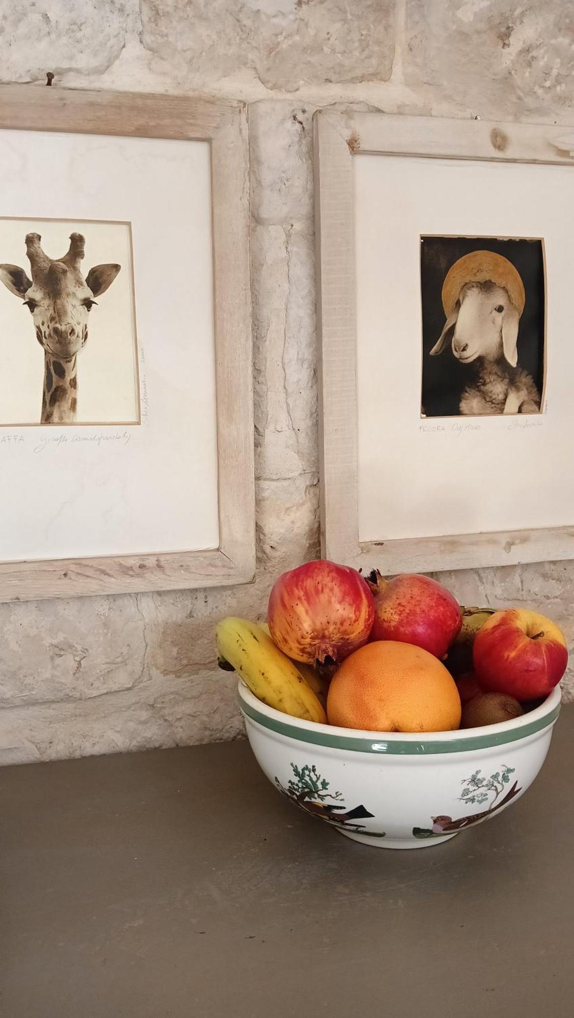 Trullo Bosco Libero Ostuni 빌라 외부 사진
